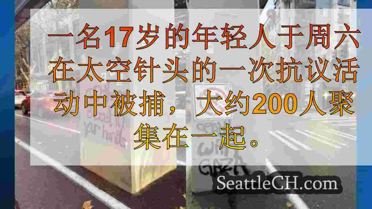 西雅图新闻 SeattleCH