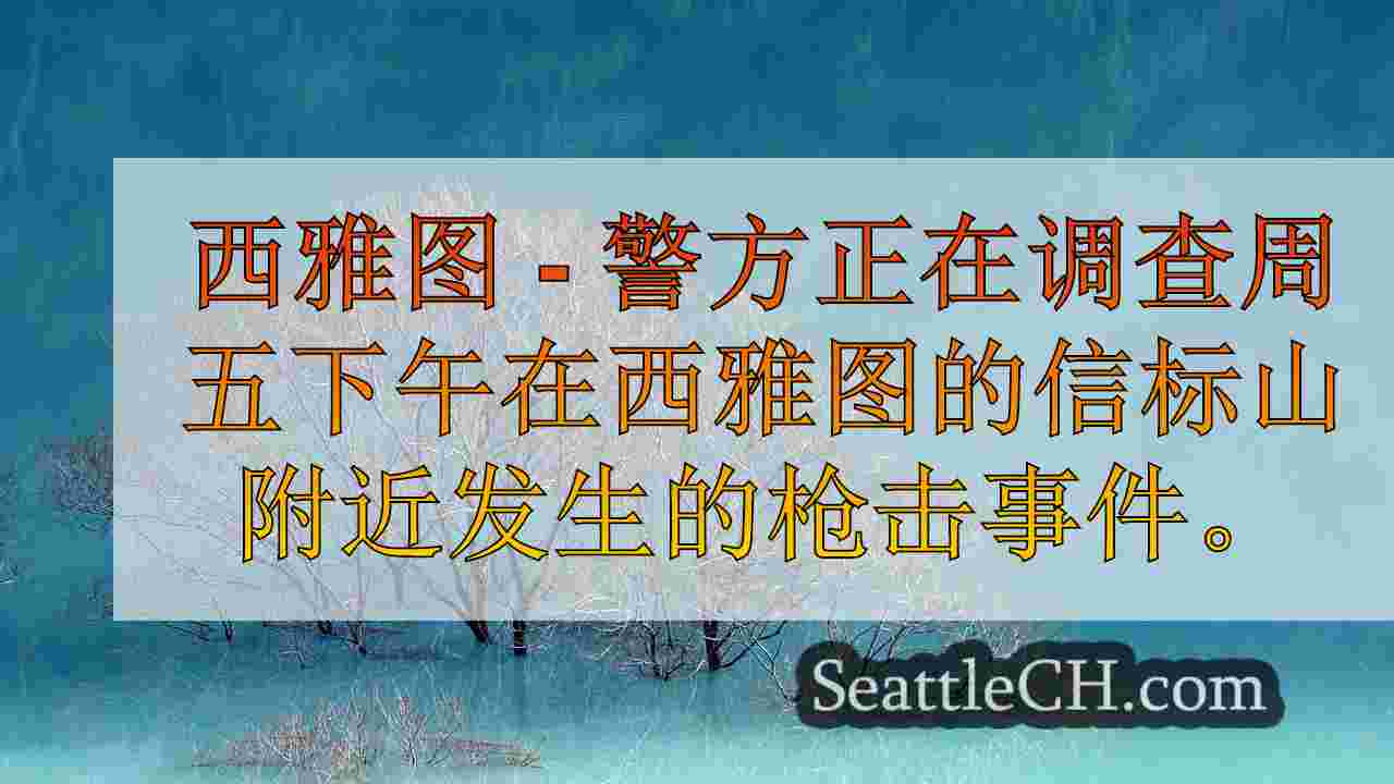 男子在西雅图的信标山附近的腿上开枪