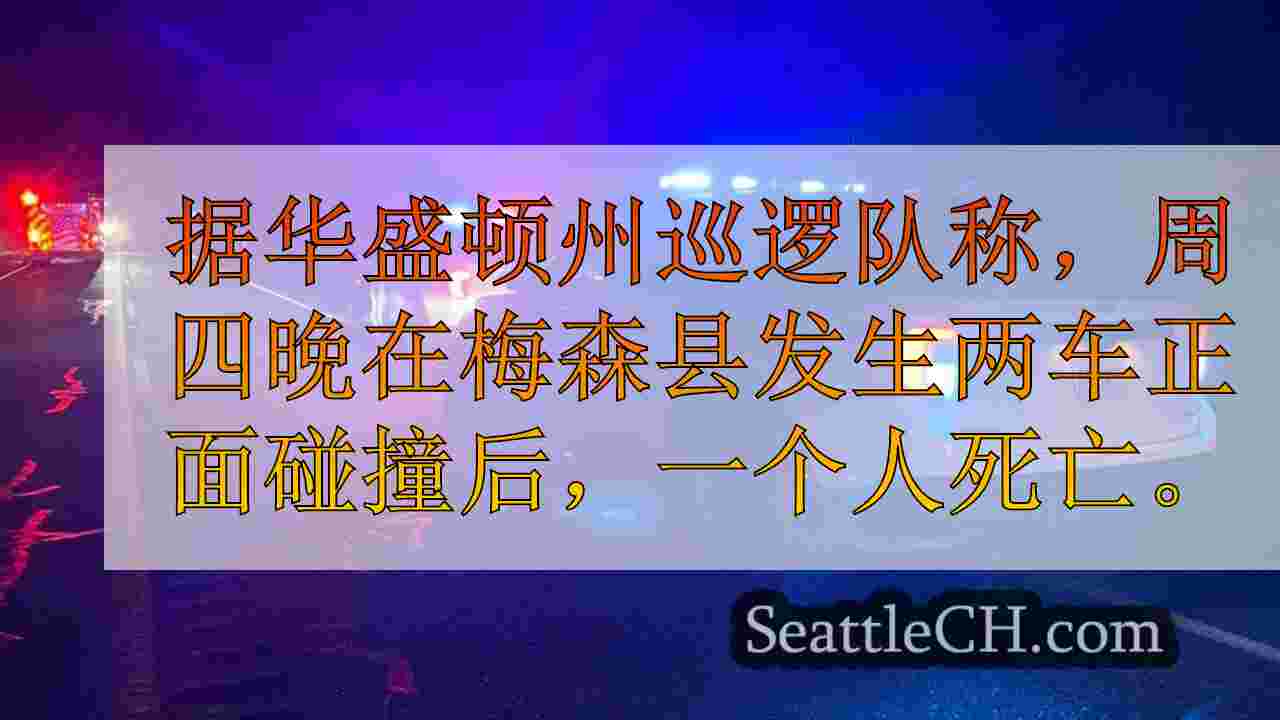 人死于谢尔顿附近的正面碰撞