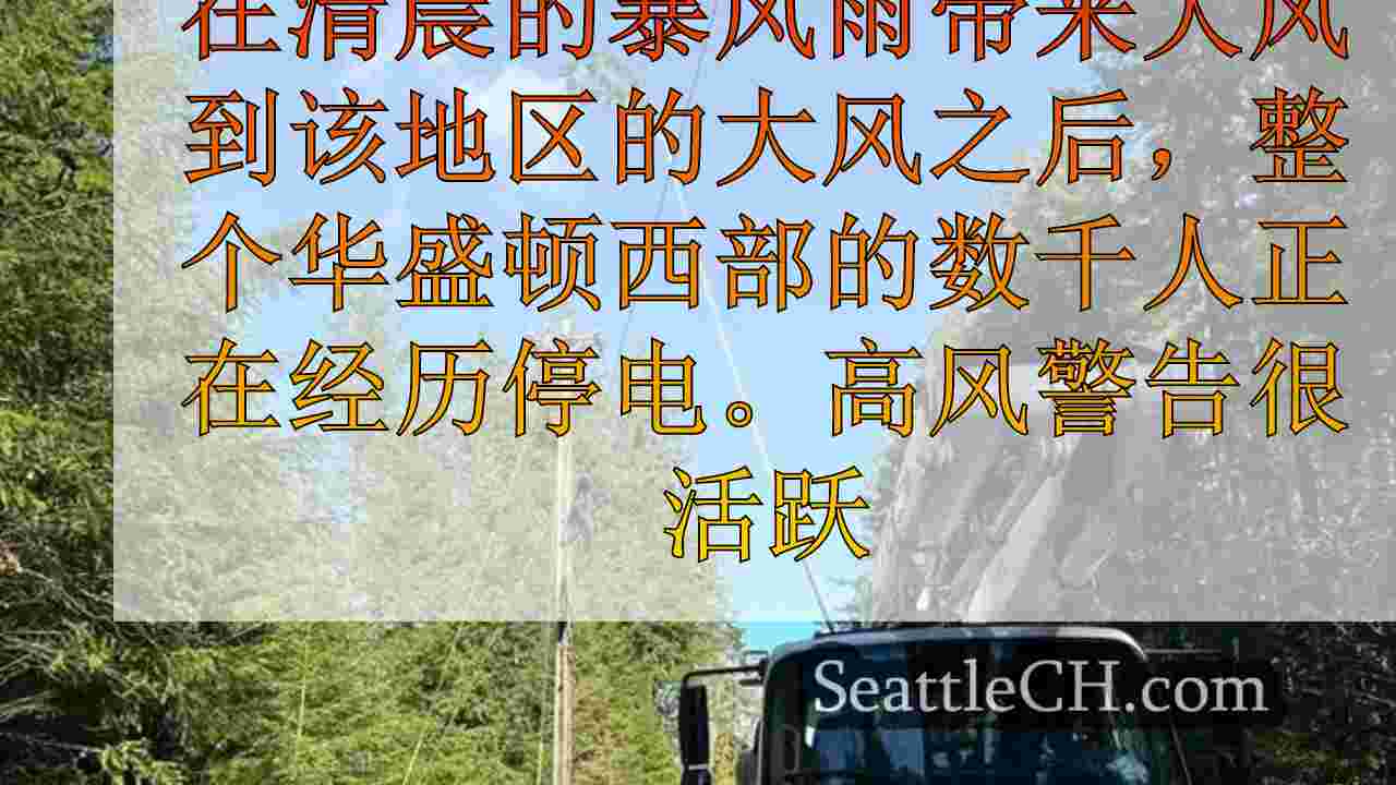 西雅图新闻 SeattleCH