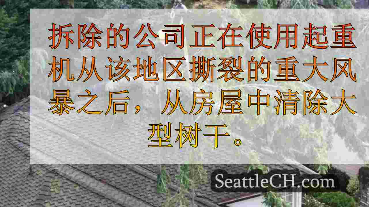 西雅图新闻 SeattleCH