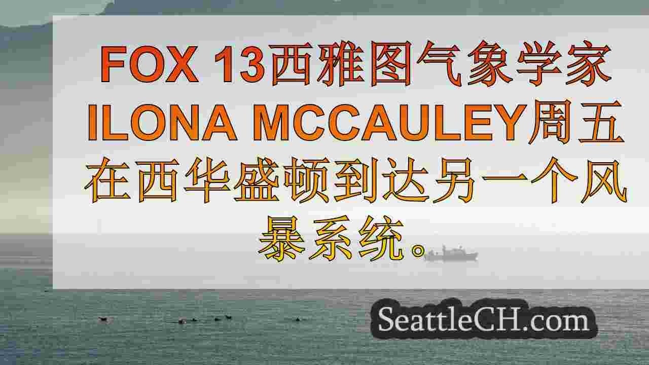 西雅图新闻 SeattleCH