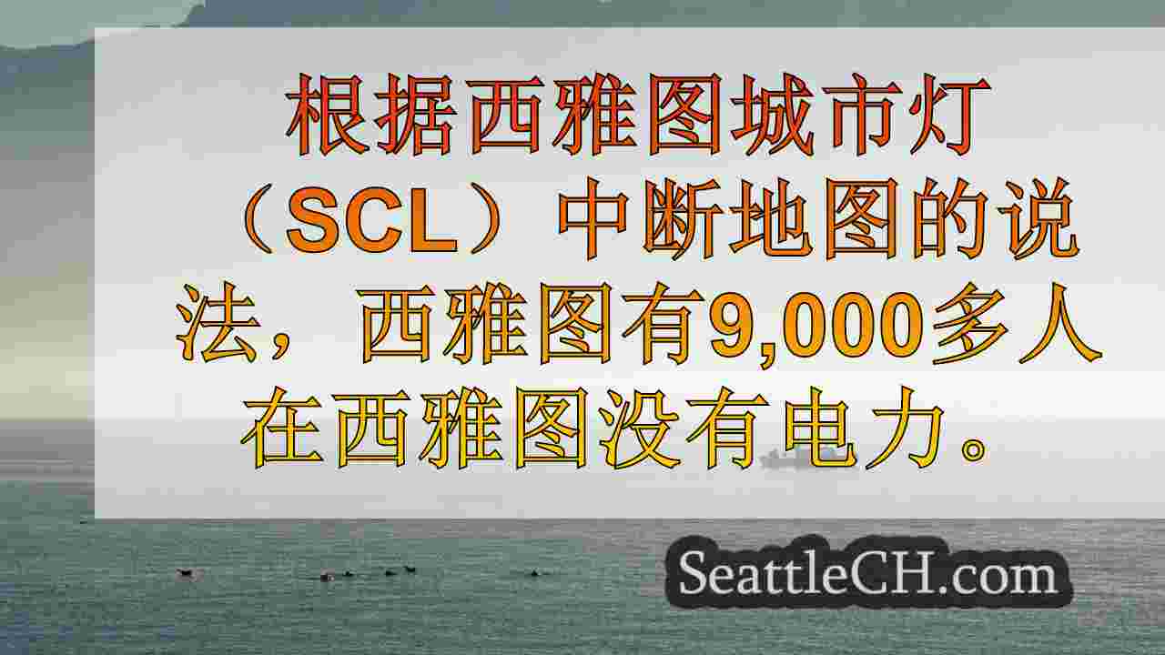 西雅图新闻 SeattleCH