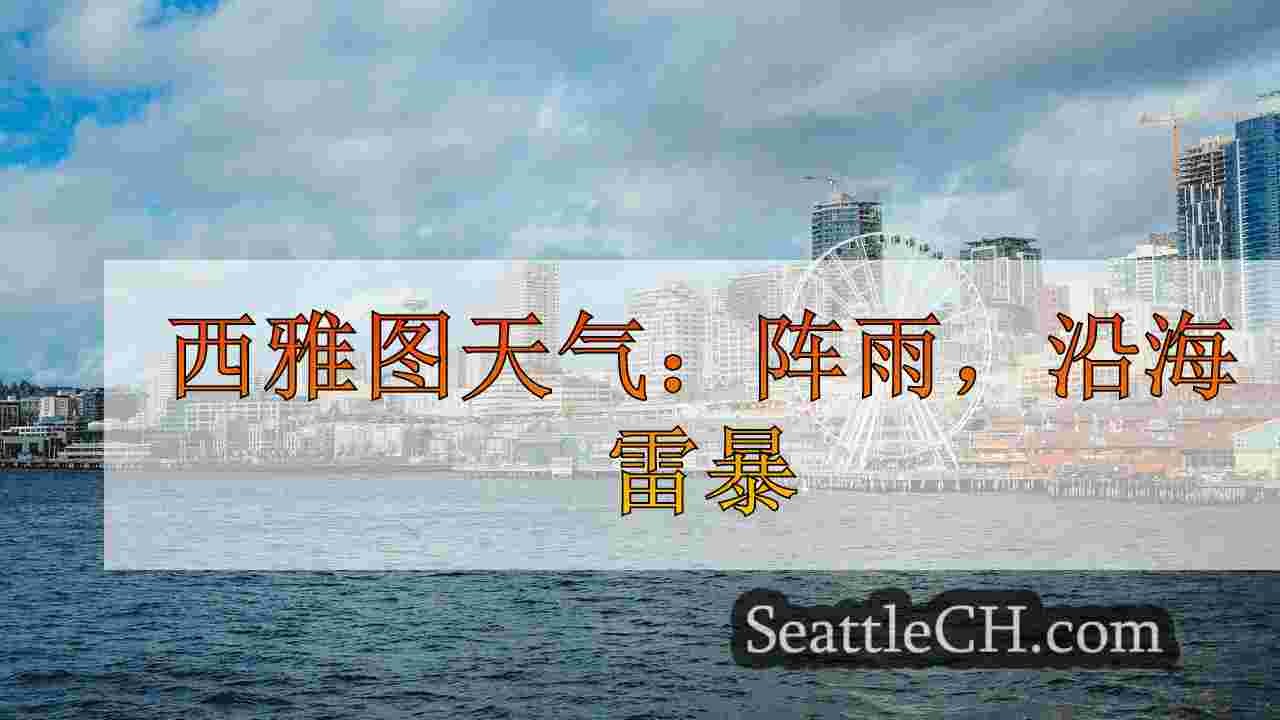周六在西雅图大多是多云和潮湿的天气预报