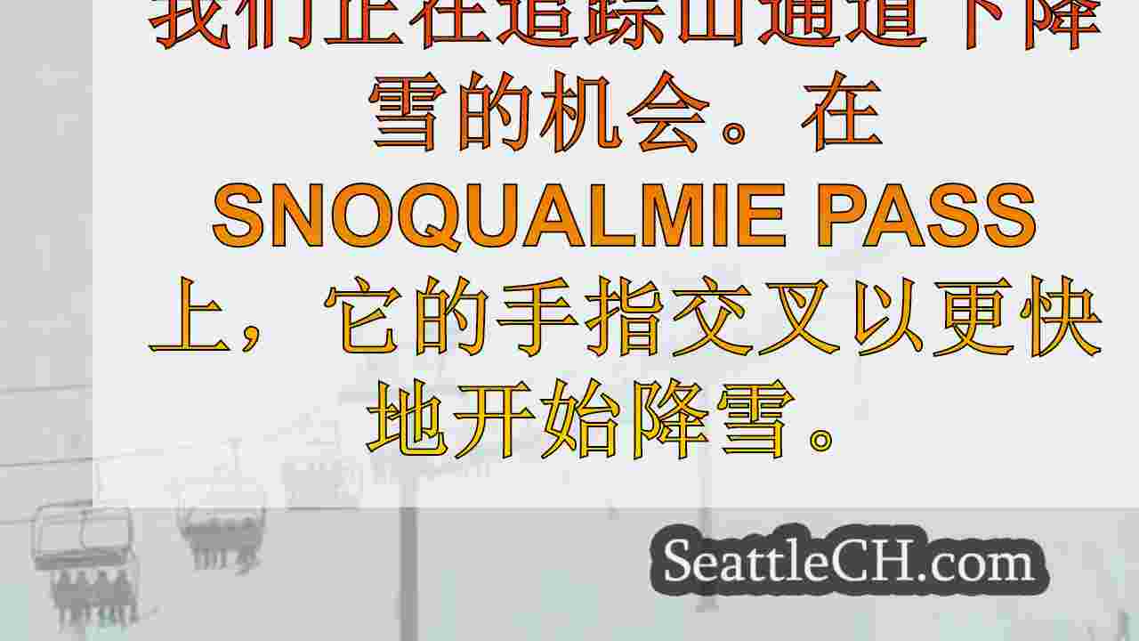 西雅图新闻 SeattleCH