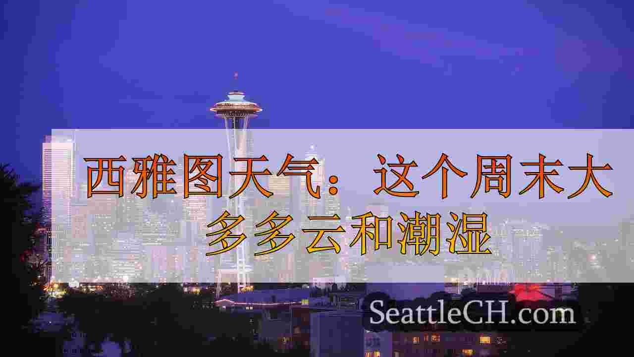 西雅图天气：周日潮湿的海鹰队游戏