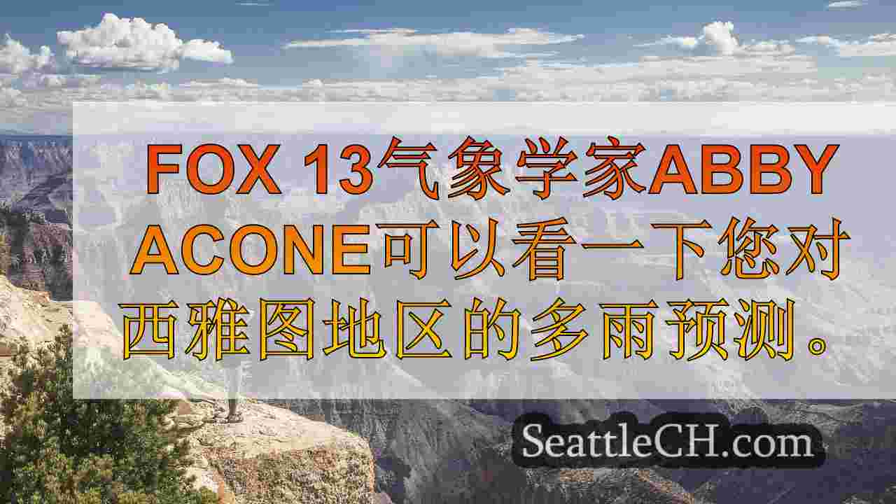 西雅图新闻 SeattleCH