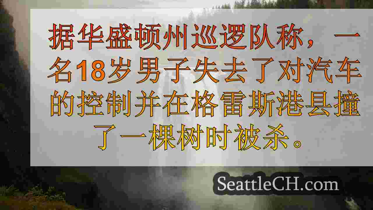 西雅图新闻 SeattleCH