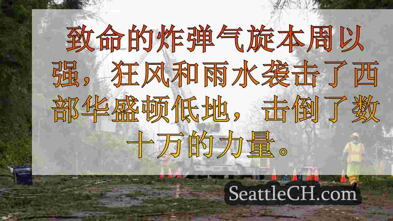 没有电？PSE客户可以恢复电源的时间
