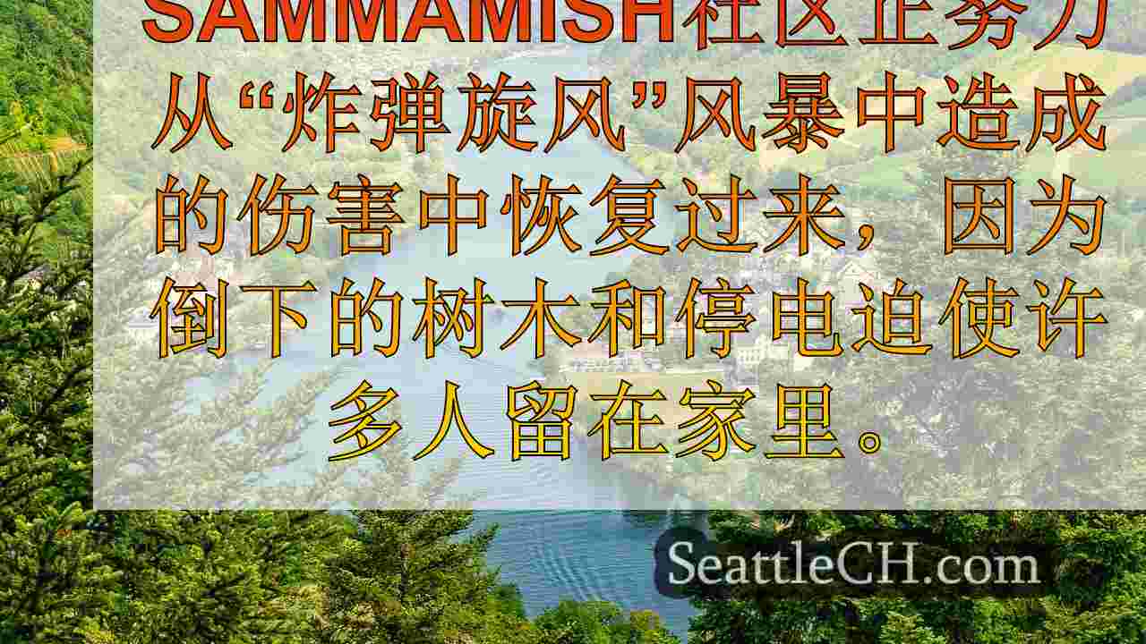 WA炸弹旋风：被倒下的树木，电力线埋葬的社区