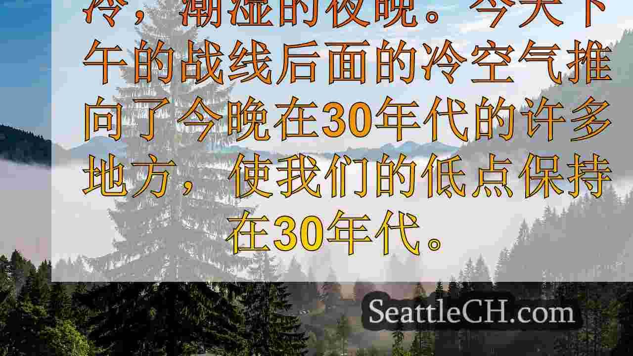 西雅图新闻 SeattleCH