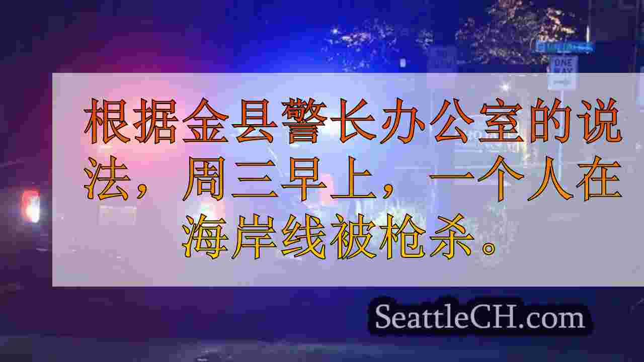 西雅图新闻 SeattleCH