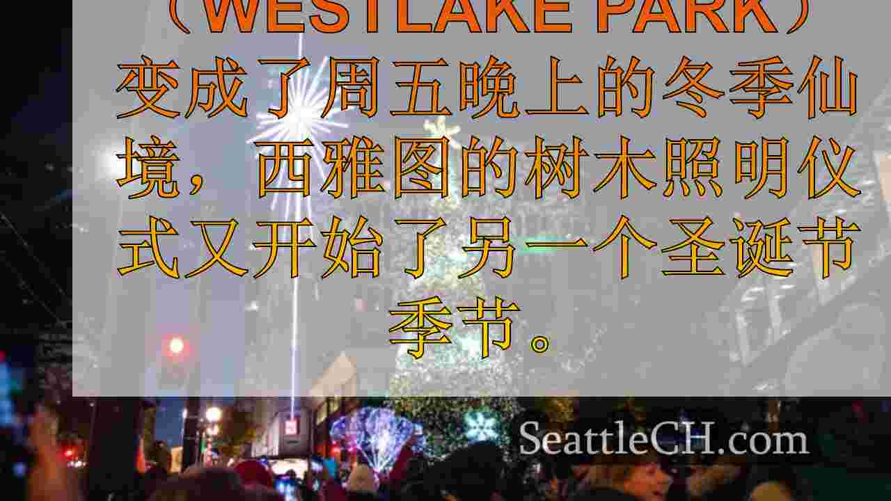 数百人参加西雅图的官方圣诞树照明仪式