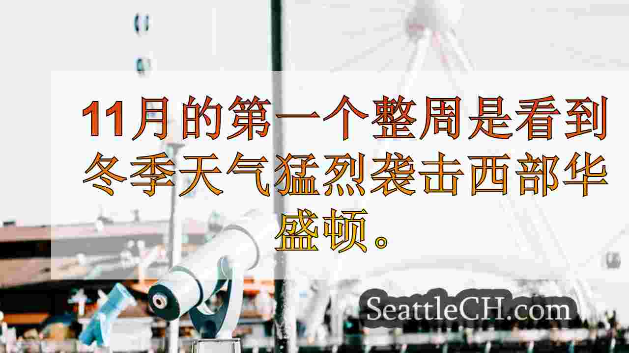 冬季天气，大风猛击西澳大利亚州西澳大利亚州，敲出数千人的电源