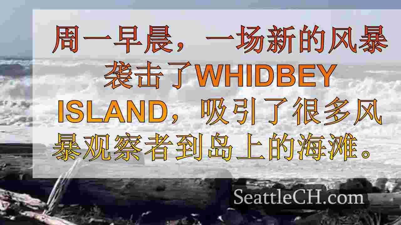 Whidbey Island Storm吸引了寻求刺激的人，导致停电
