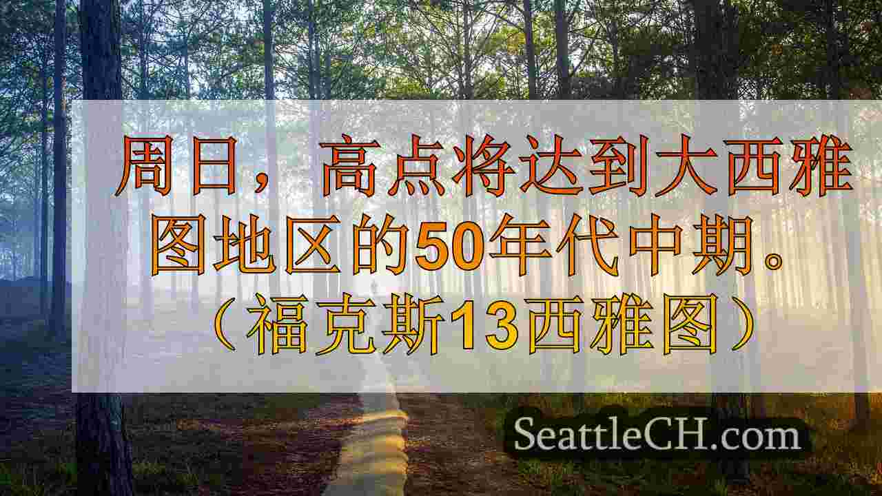 西雅图新闻 SeattleCH