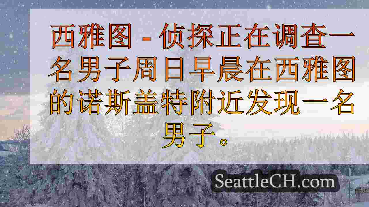 西雅图新闻 SeattleCH