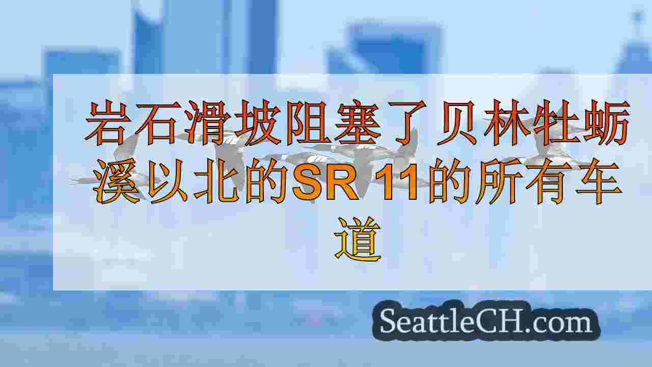 西雅图新闻 SeattleCH