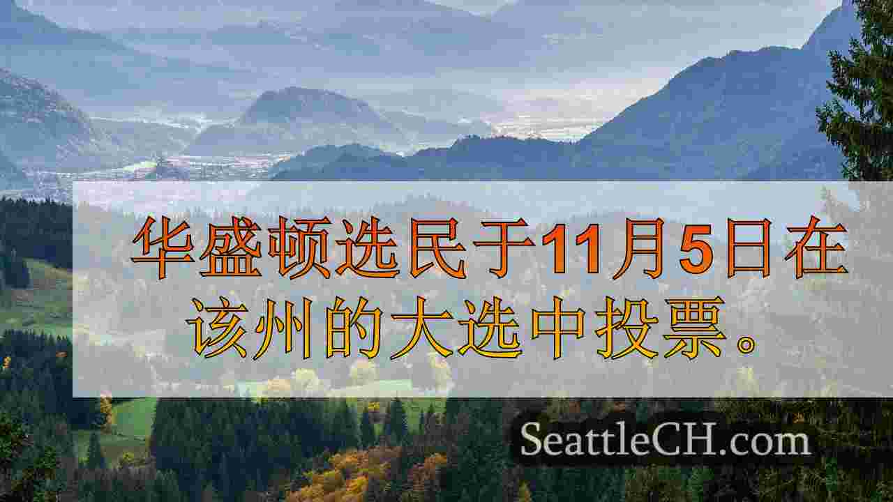 WA州大选：直播，更新2024年结果