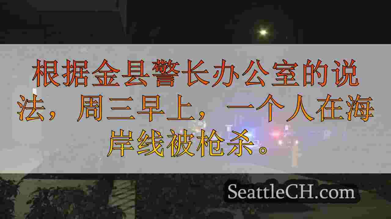 西雅图新闻 SeattleCH