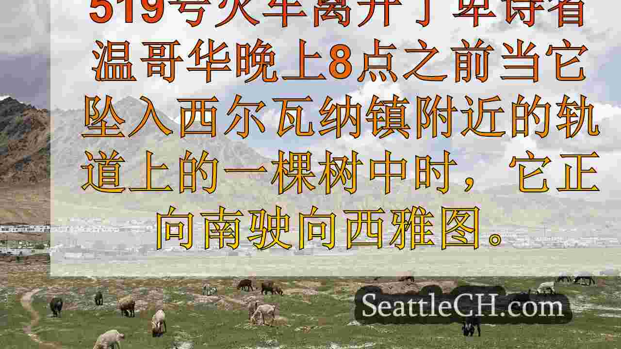 西雅图新闻 SeattleCH