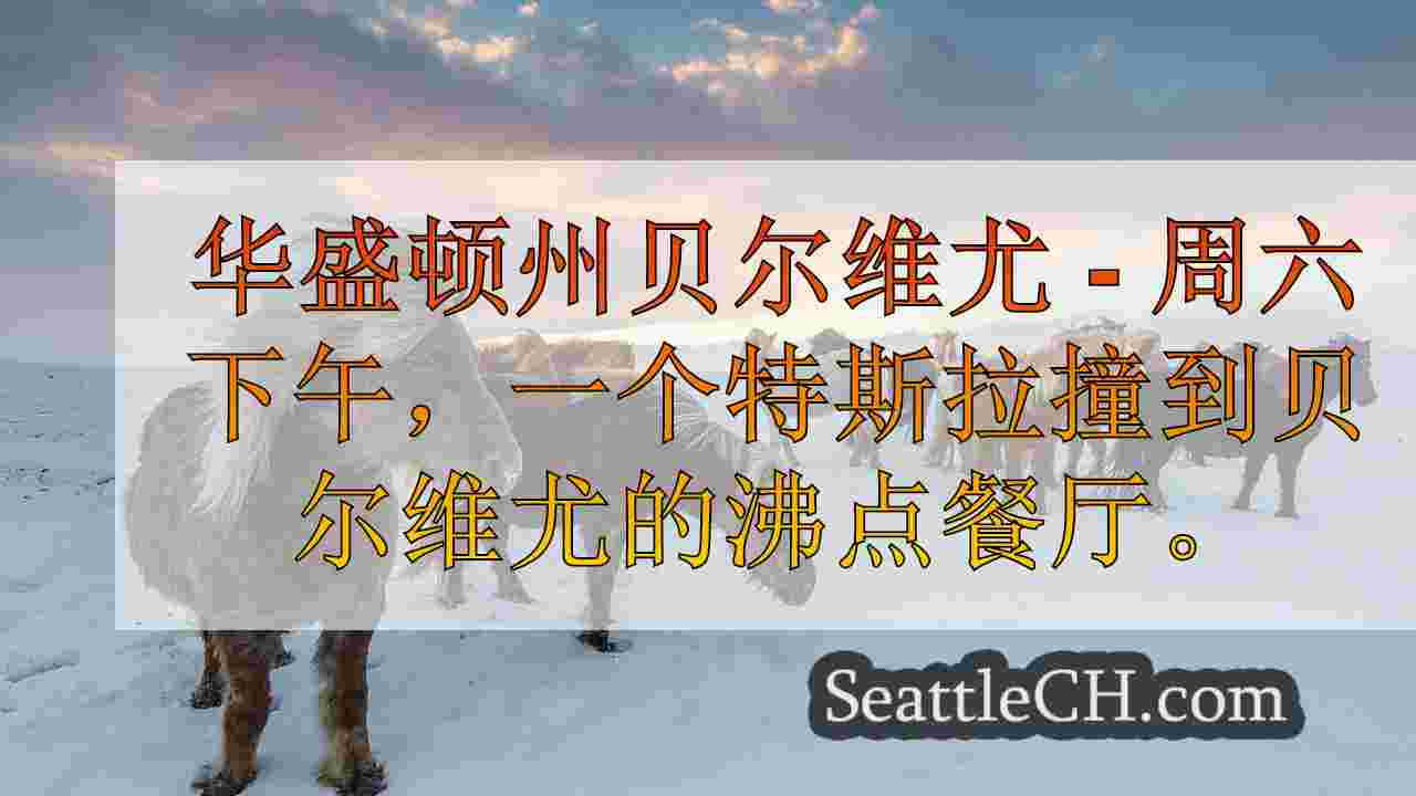 西雅图新闻 SeattleCH