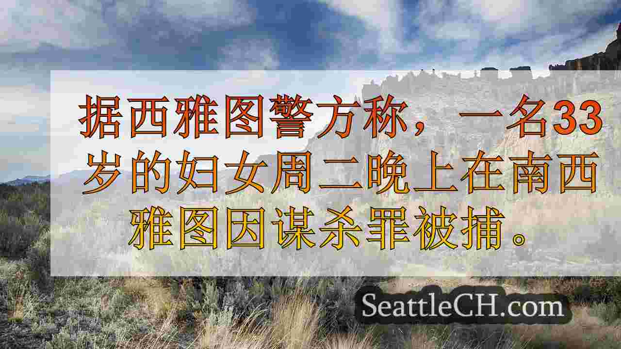西雅图新闻 SeattleCH