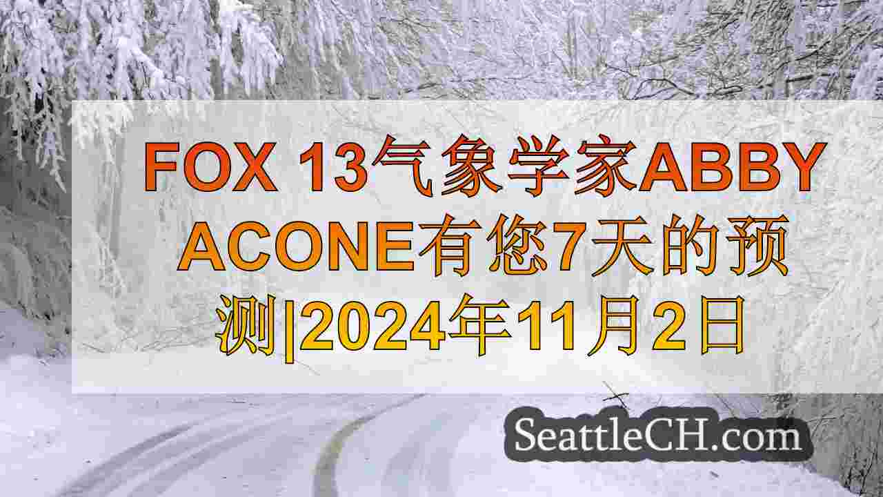 西雅图新闻 SeattleCH