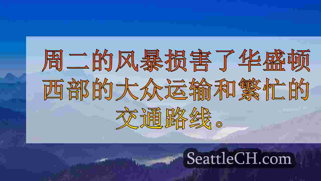 西雅图新闻 SeattleCH
