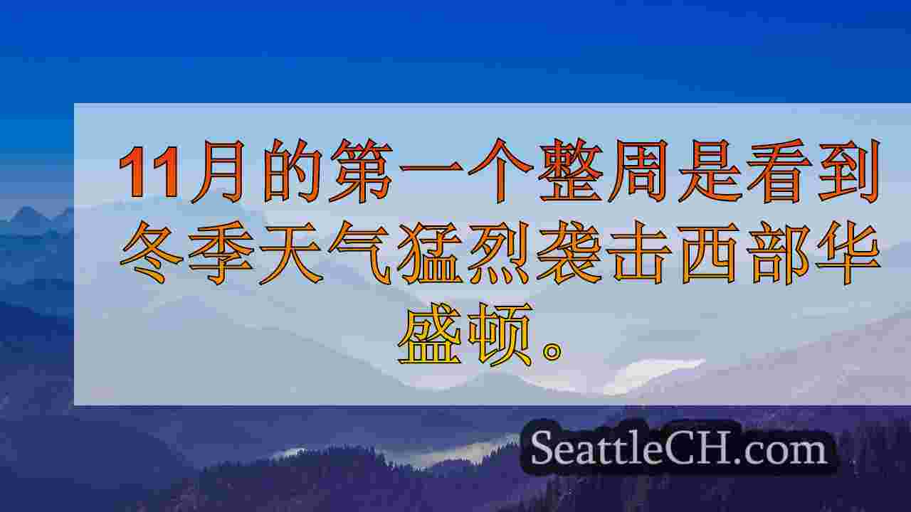 西雅图新闻 SeattleCH