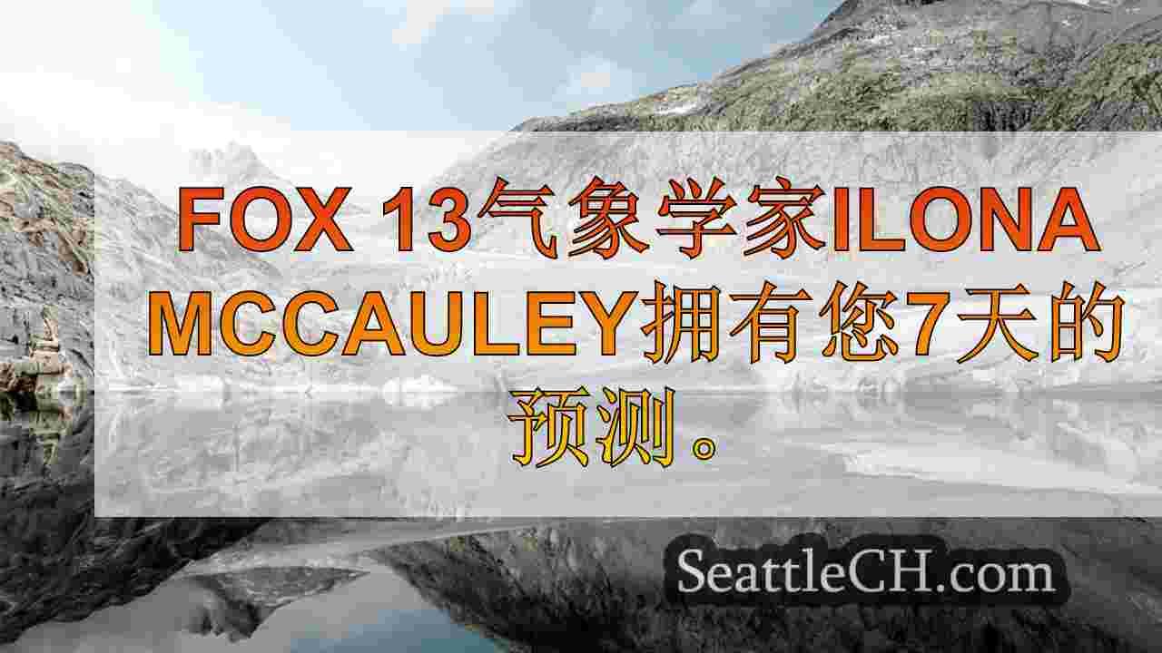 西雅图新闻 SeattleCH