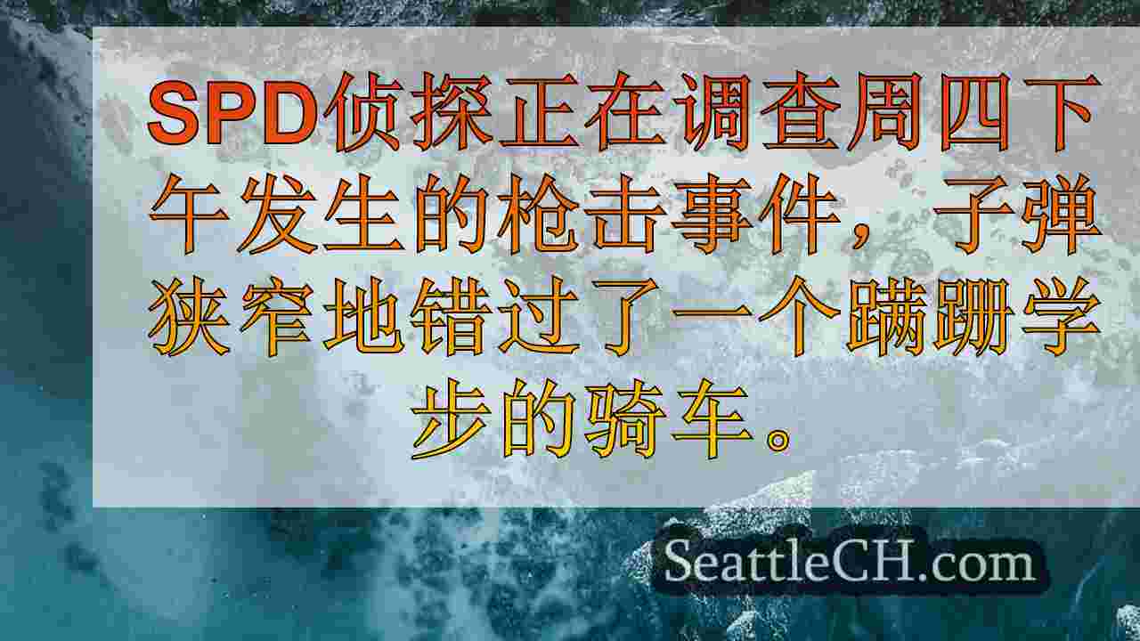 西雅图新闻 SeattleCH