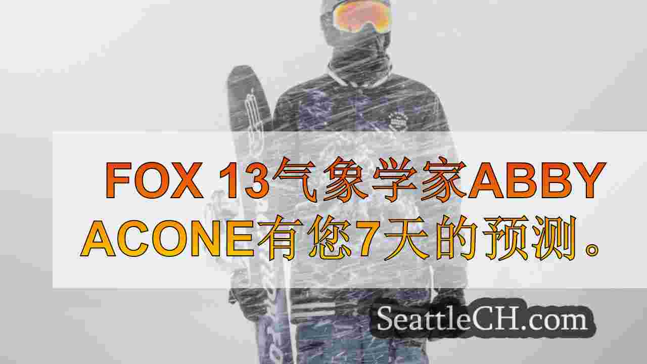 西雅图新闻 SeattleCH