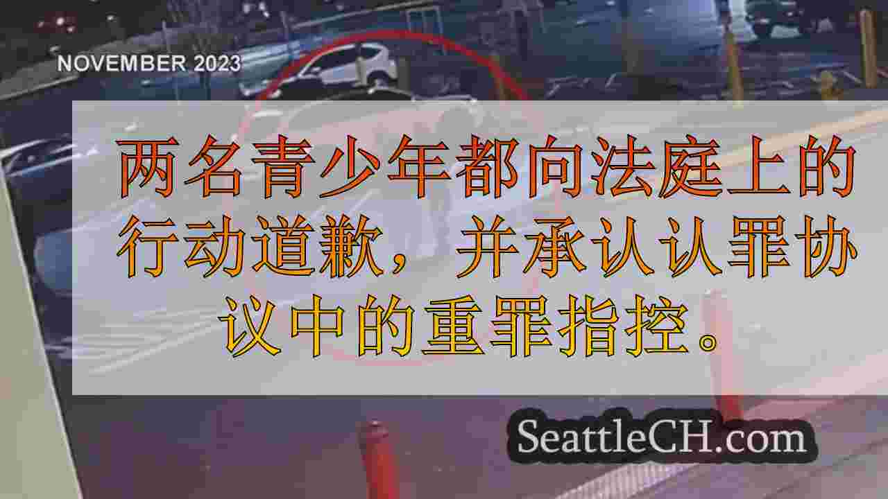青少年因劫车和射击狂欢而被判刑
