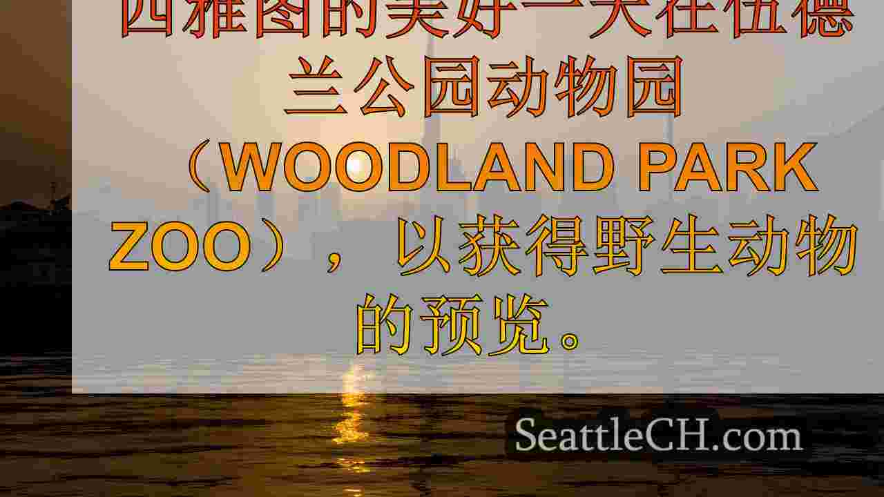 西雅图新闻 SeattleCH