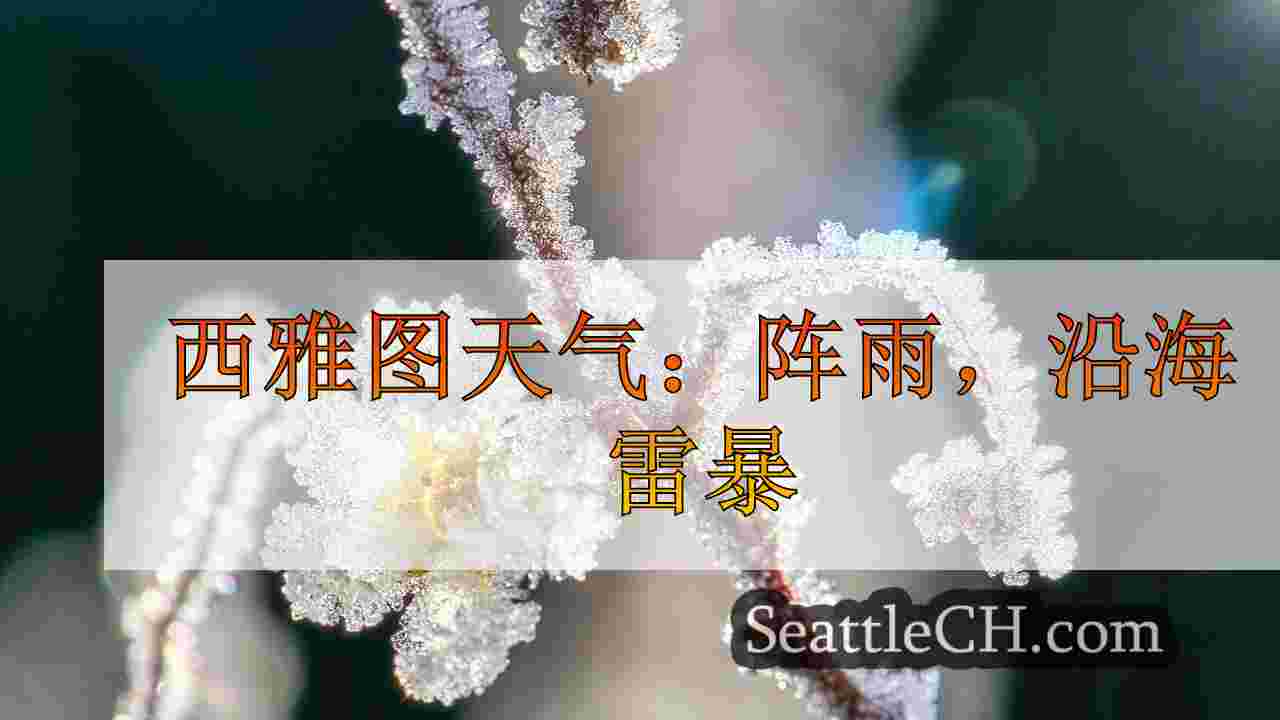 西雅图新闻 SeattleCH