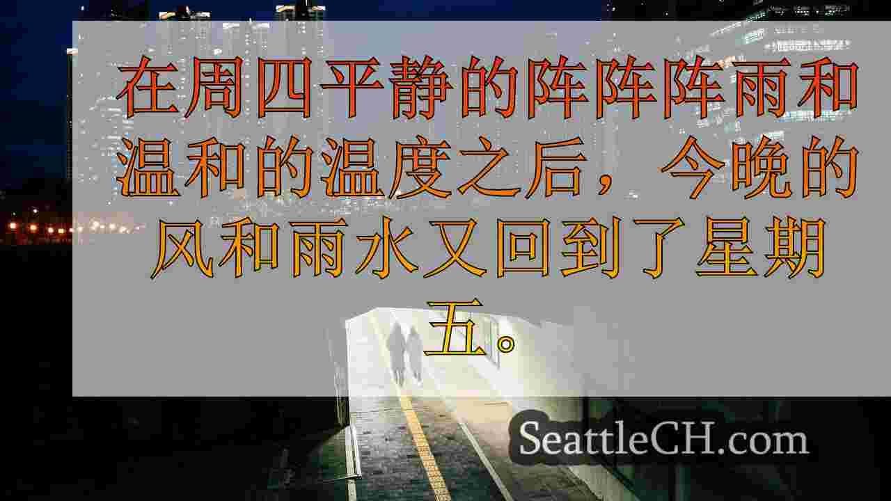 西雅图新闻 SeattleCH