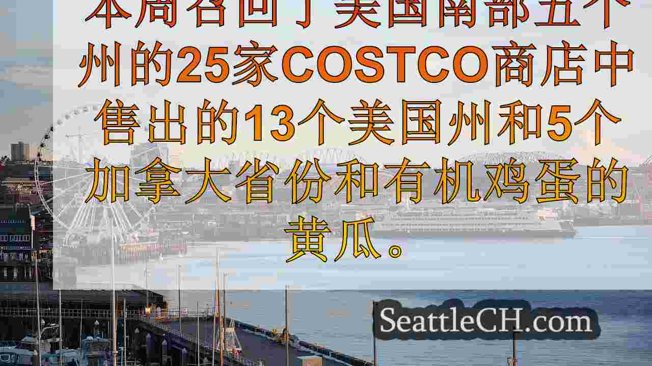西雅图新闻 SeattleCH