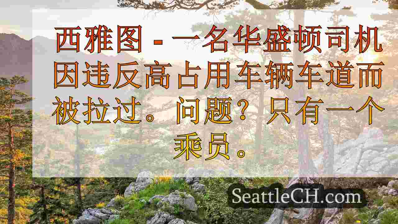 WA HOV违规者在乘客座位上使用的骨骼头