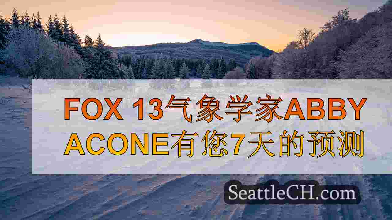 西雅图新闻 SeattleCH