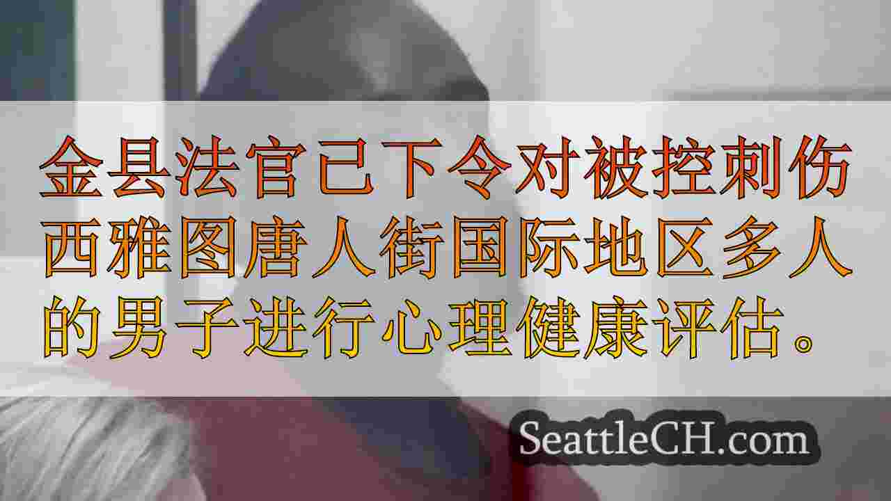 辩护律师说