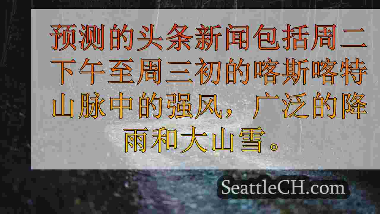 西雅图新闻 SeattleCH