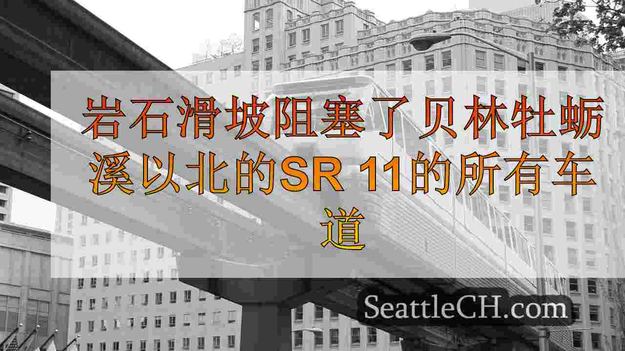 西雅图新闻 SeattleCH