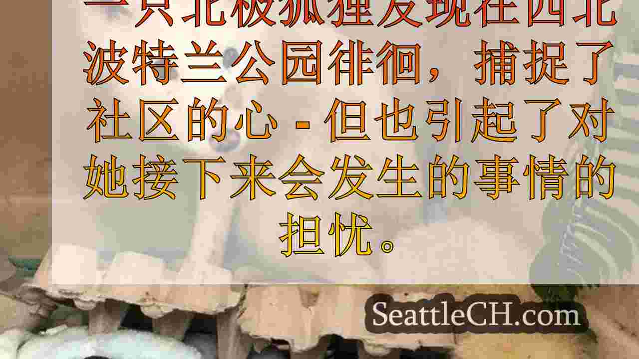 西雅图新闻 SeattleCH