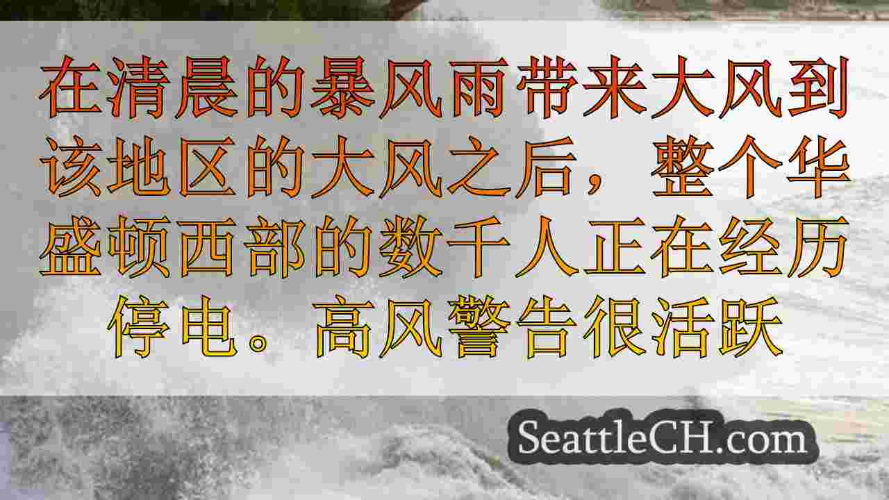西雅图新闻 SeattleCH