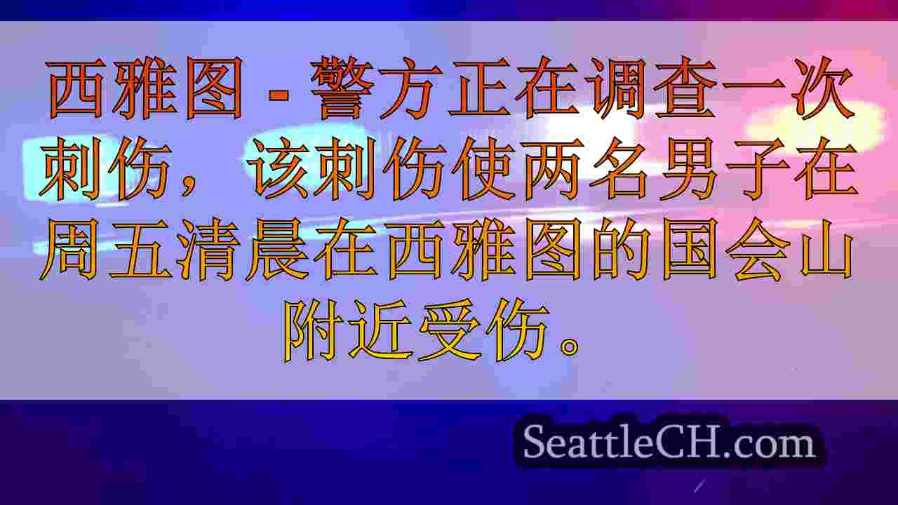 两名男子在西雅图的国会大厦山附近刺伤