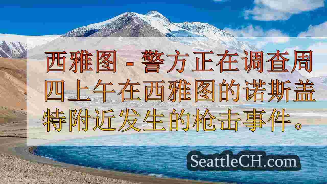 西雅图新闻 SeattleCH