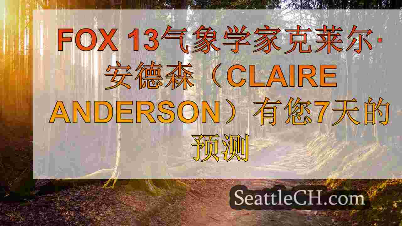 西雅图新闻 SeattleCH