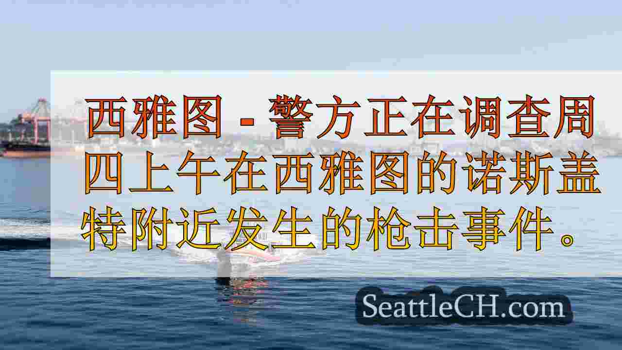 警方调查在西雅图的诺斯盖特附近枪击事件