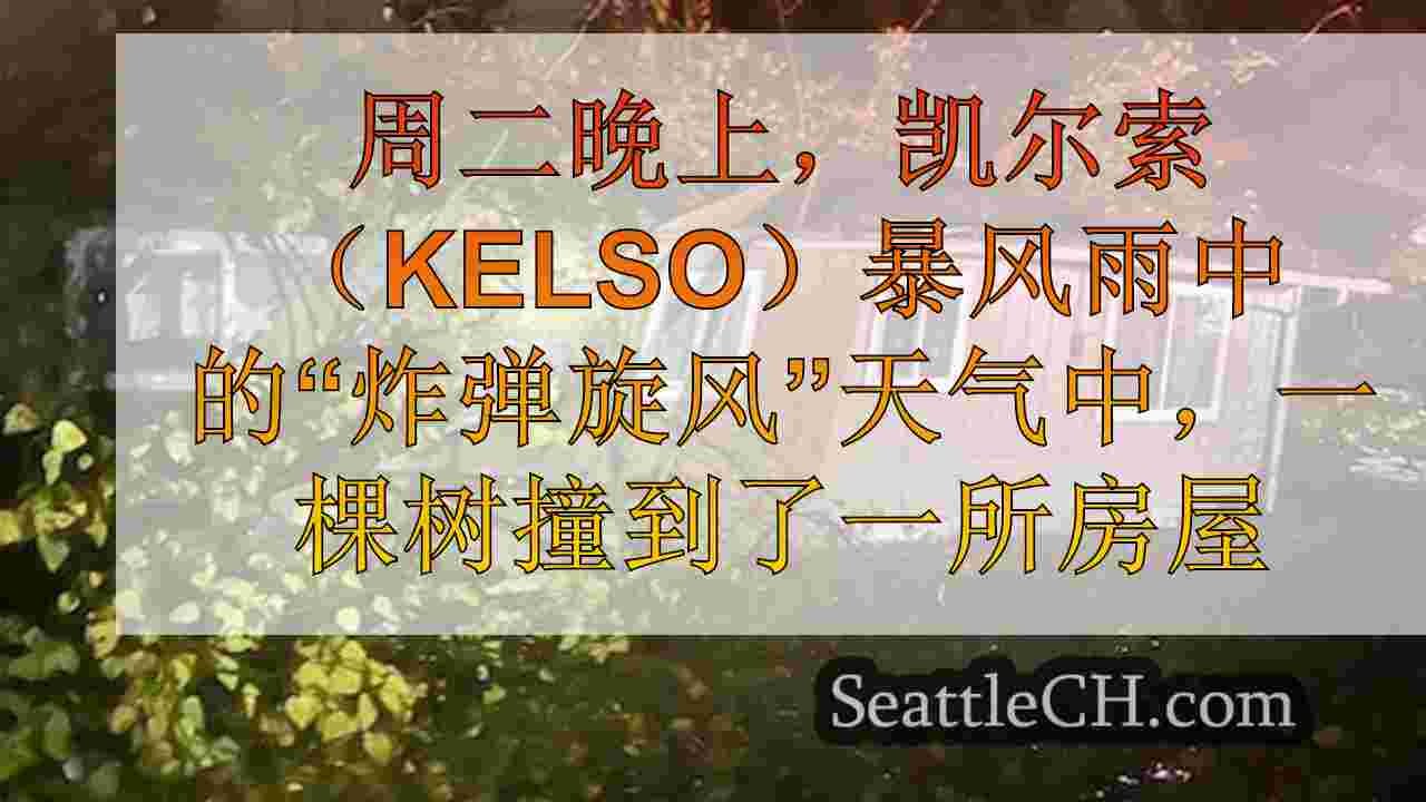 Tree Crushes SW华盛顿家，流离失所的5人和宠物狗